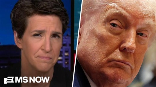 Maddow: This is how a prosecutor of ORGANIZED CRIME sees Trump's corruption