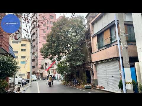 I Explored Tokyo's Only Slum Area with So Many Cheap Hotels | Sanya