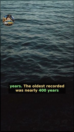 Greenland Shark: The Longest-Living Vertebrate