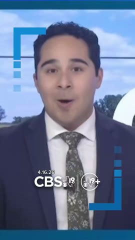 Little Caesars partners with ChatGPT to order your pizza