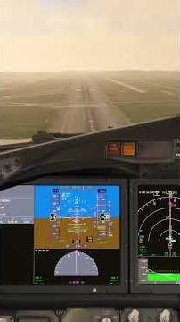 INSIDE Cockpit! 737 MAX Landing