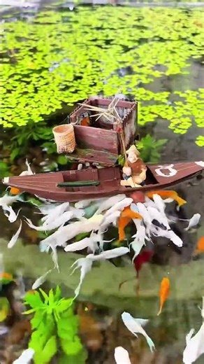 ▶️ Would you keep something like this in your backyard?