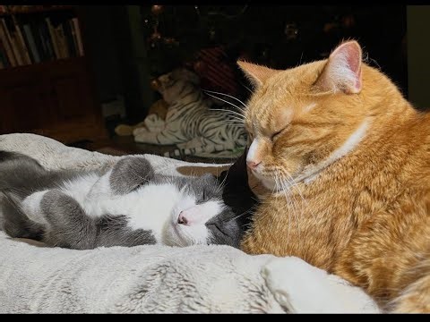 Episode 3050 CWSA 12/22/25