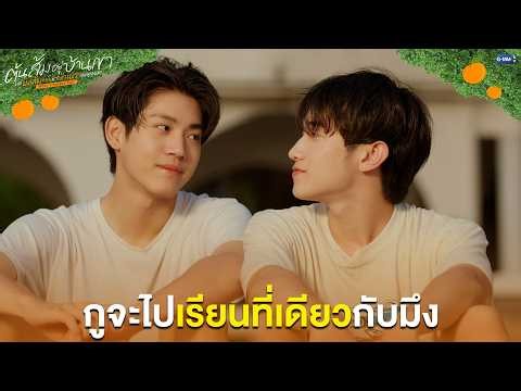 กูจะไปเรียนที่เดียวกับมึง | ต้นส้มอยู่บ้านเขา แต่ผลส้มหล่นมาบ้านเราตลอดเลย When Oranges Fall EP.9