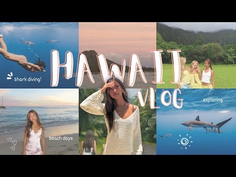 HAWAII VLOG *shark diving, beach days, getting ready, etc*