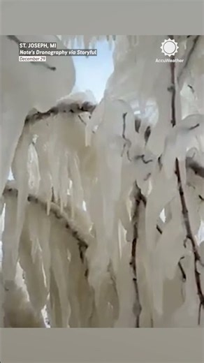Bomb Cyclone Turns Michigan Shore Trees into Icicles