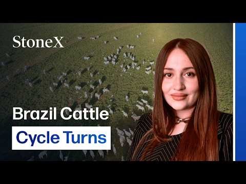 Brazil Beef Prices Surge as Supply Tightens and Global Demand Climbs