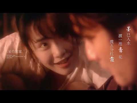 富田靖子 MV 金花 半壶纱2