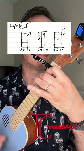 Gavin Adcock - The Day I Hang It Up - Ukulele Chords
