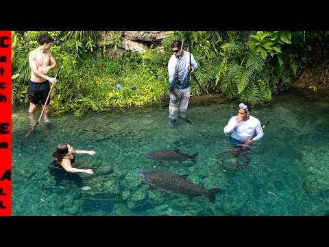 MONSTER was KILLING PET FISH in the Clear Oasis Pond BUT we CAUGHT IT!