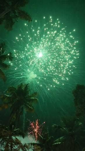 Real Cracker Sound | Loud Firecracker Bursting | Diwali Crackers Audio #crackers #diy #diwali