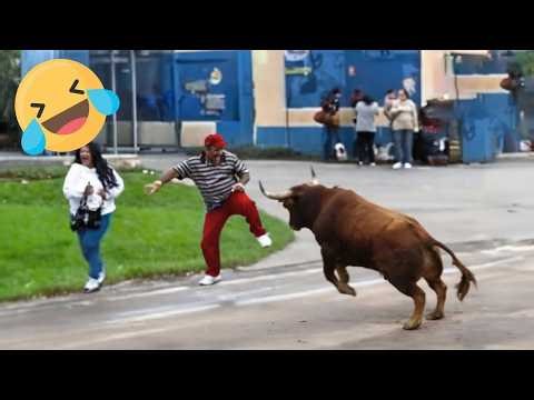Funny & Hilarious People Life | People Having A Bad Day | Best Fails of the Week #14