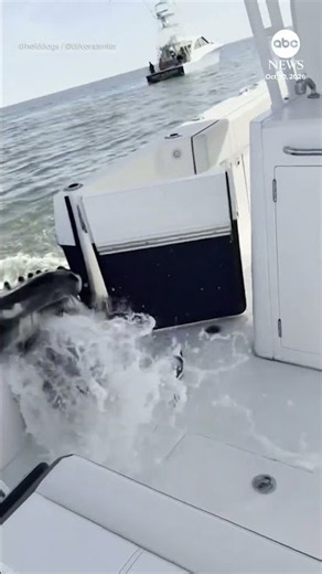 Whale slams into boat near Long Island