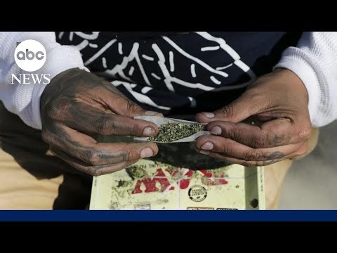 Cannabis legalization debate shifts as federal reclassification looms