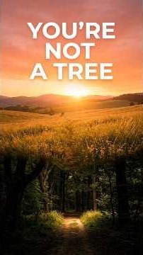You’re Not a Tree
