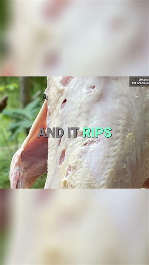 Extreme Dangers What Happens When a Ball Hits Your Head