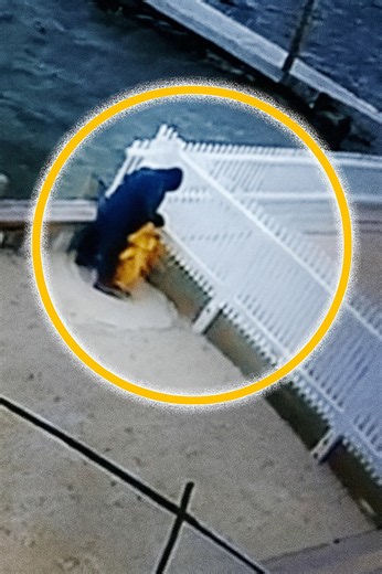 Caught on camera