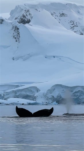 Antarctica with Billy Heaney - Part One