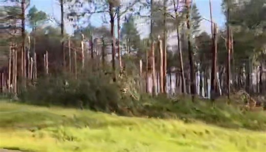 🌪️ Tornado Damage Video – Warburton Area, Mpumalanga 🌪️ 1 January 2026 A video showing tornado damage from yesterday’s storm in the Warburton area, Mpumalanga has been sent in, further highlighting the severity of the event. 📍 Thank you for the report, Marinda. 🎥 Video taken by Reino. 📸 Keep sending your photos, videos, and reports to Storm Report SA. | Storm Report SA