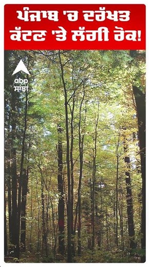 Mohali News : Punjab ਸਰਕਾਰ ਨੂੰ ਵੱਡਾ ਝਟਕਾ, Highcourt ਨੇ ਸੂਬੇ 'ਚ ਬਿਨਾਂ ਮਨਜੂਰੀ ਦਰੱਖਤ ਕੱਟਣ 'ਤੇ ਲਾਈ ਰੋਕ!