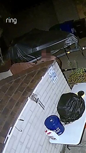 A tresspasser is deterred from entering a yard after the Ring Siren goes off. 🚨