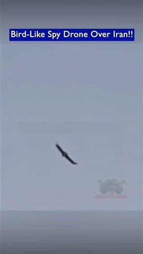 A Bird-Like Spy Drone Spotted Flying Over Iran!!