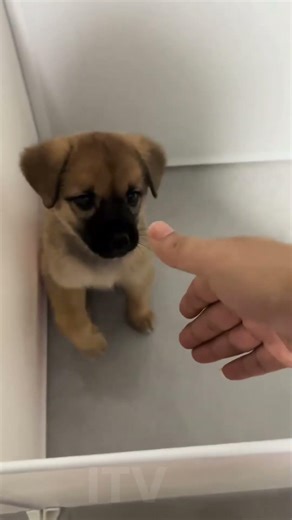 Most Expensive Fails 2026 | Total Idiots At Work | Instant Regret Compilation | Short #12