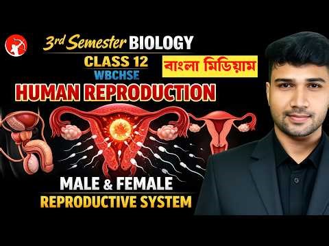 Day 5 Human Reproduction | Class 12 semester 3 Biology | Male & Female Reproductive System | WBCHSE