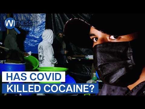 The Cocaine Crash: How Covid Shattered the Cartel's Drug Market