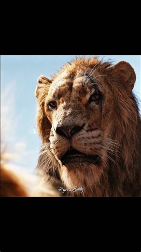 The Lion King 🦁 | Simba’s Journey to Become King 👑 #movie