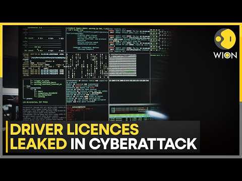 Millions Exposed As Firms Face Unprecedented Data Infiltration | WION News