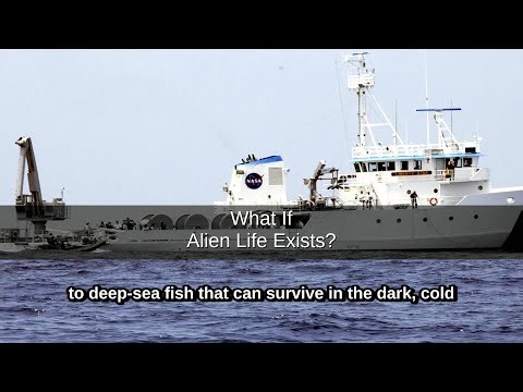 What If Alien Life Exists?