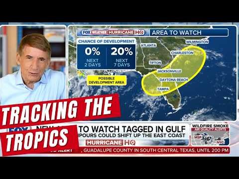 FOX Weather Hurricane Specialist Bryan Norcross Talks Through the New Area to Watch in the Gulf