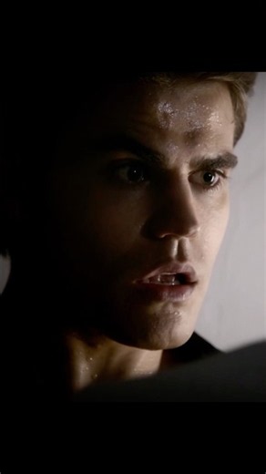 Stefan fought till his last breath | #tvd