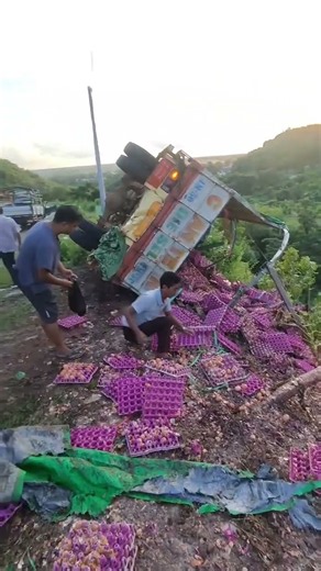 ပြင်ဦး လွင် အဆင်းလမ်း ကြက်ဥသယ်ဆောင်လာသော ကုန်ကား တစ်စီးတိမ်းမှောက်