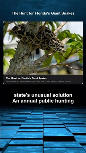 The Hunt for Florida's Giant Snakes | Stranger Than Fiction #15