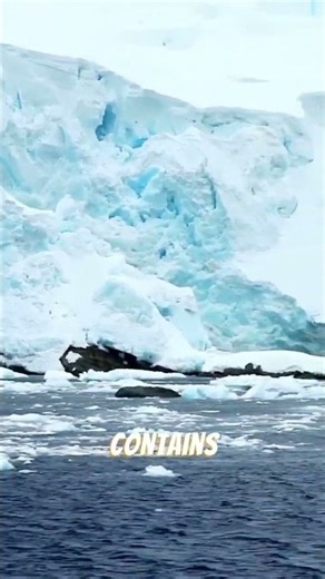 Antarctica Holds 70% of Earth's Freshwater?! 🧊 #shorts