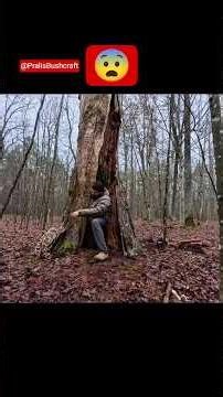 building a bushcraft survival shelter| deep forest 🌲#survival #bushcraft #treehouse