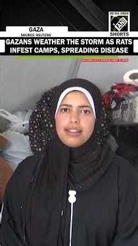 Gazans weather the storm as rats infest Gaza’s tent camps, biting children and spreading disease