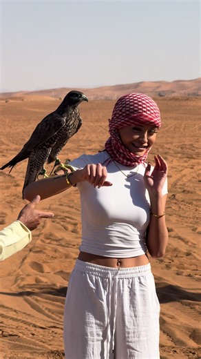 Exciting Dubai Desert Safari Adventure