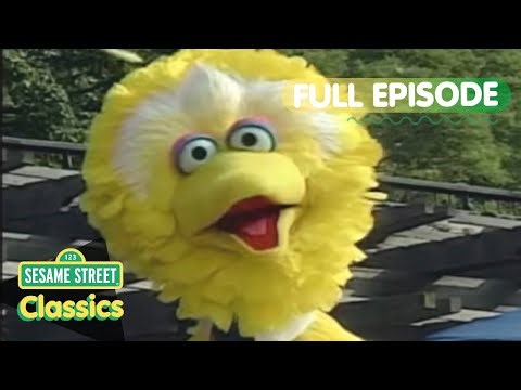 Big Bird's Birthday! | Sesame Street Classics Full Episode