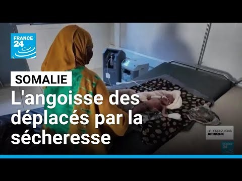 Somalie : l'angoisse des déplacés par la sécheresse sans aide humanitaire • FRANCE 24