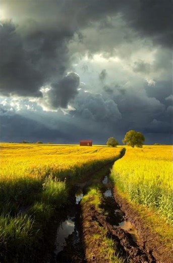 Epic Storm Clouds Over Golden Fields | 4K Nature Relaxation Scenery