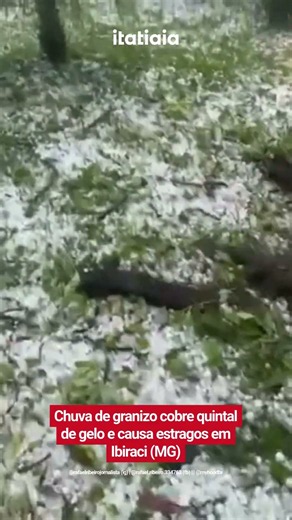 CHUVA DE GRANIZO COBRE QUINTAL DE GELO E CAUSA ESTRAGOS EM IBIRACI (MG)