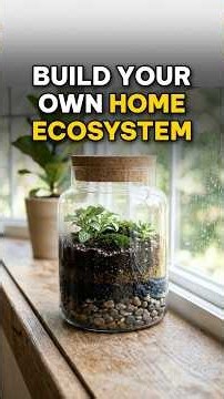 How to Build a Self Sustaining Ecosystem at Home