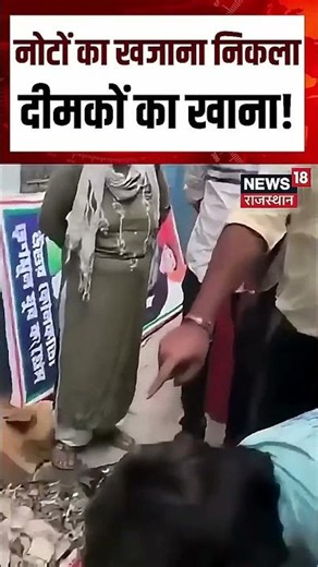 Viral Cash Video : नोटों से भरा बैग,दीमकों ने कर दिया सफाया! N18S | Viral | Cash | Top News |