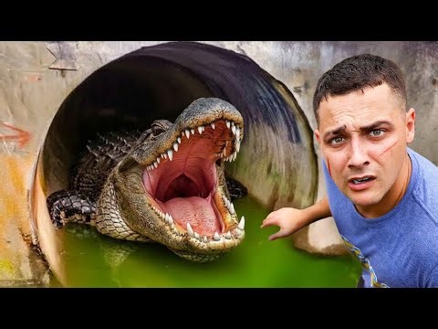 I Found A Giant Swamp Monster..