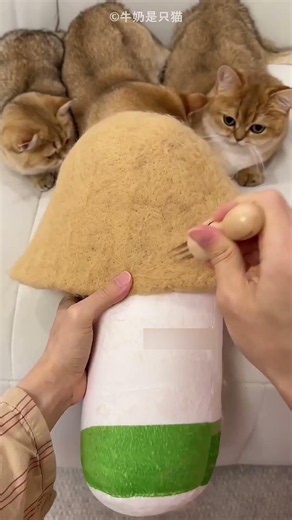 Cute hats made from cat fur 🐱🎩