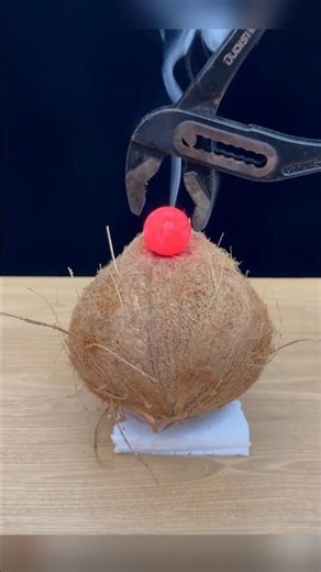 Lava vs Coconut 🥥🔥 | Will It Explode? 😱 Shocking Experiment!