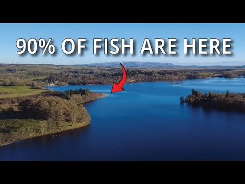 The Secret to Finding Trout Hotspots [Stillwater Fly Fishing]